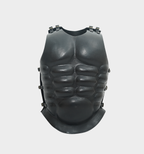 Body Medieval Armor